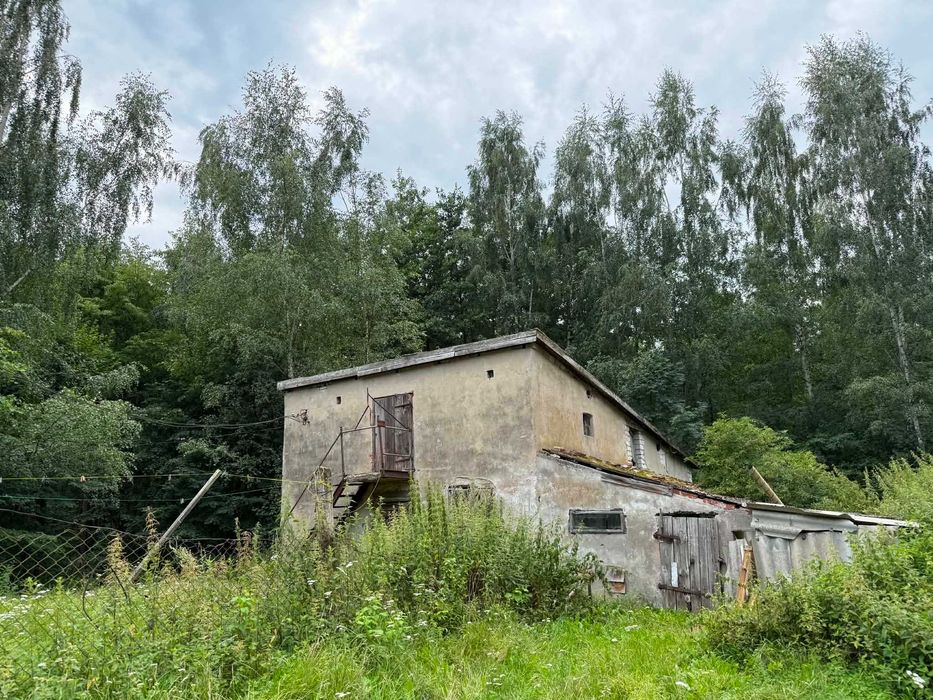 Dom – Jałowiec - Widok 3