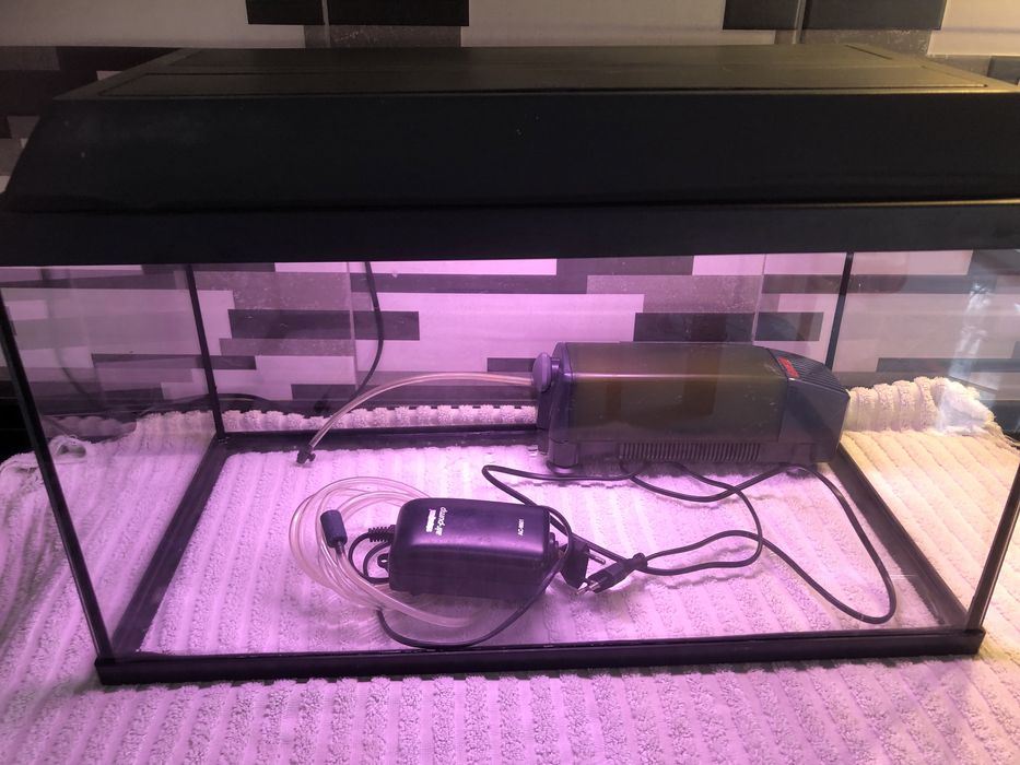 Aquário para peixes