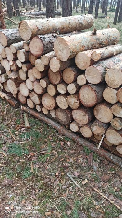 Drewno opałowe (sosna, dąb, akacja, brzoza, wiąz)