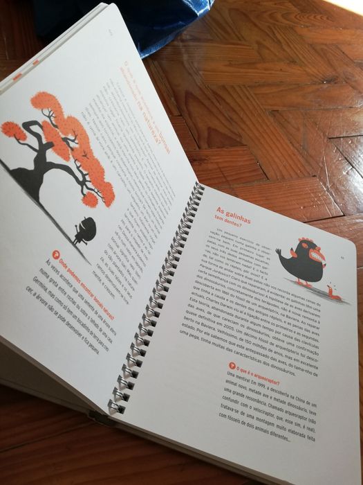 Livro - Respostas às perguntas que nunca te fizeste