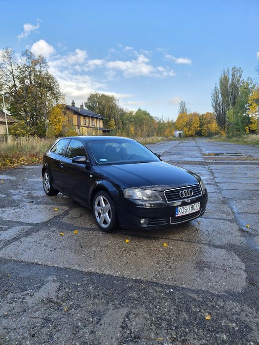 Audi A3 8P 1.9 TDI 2003