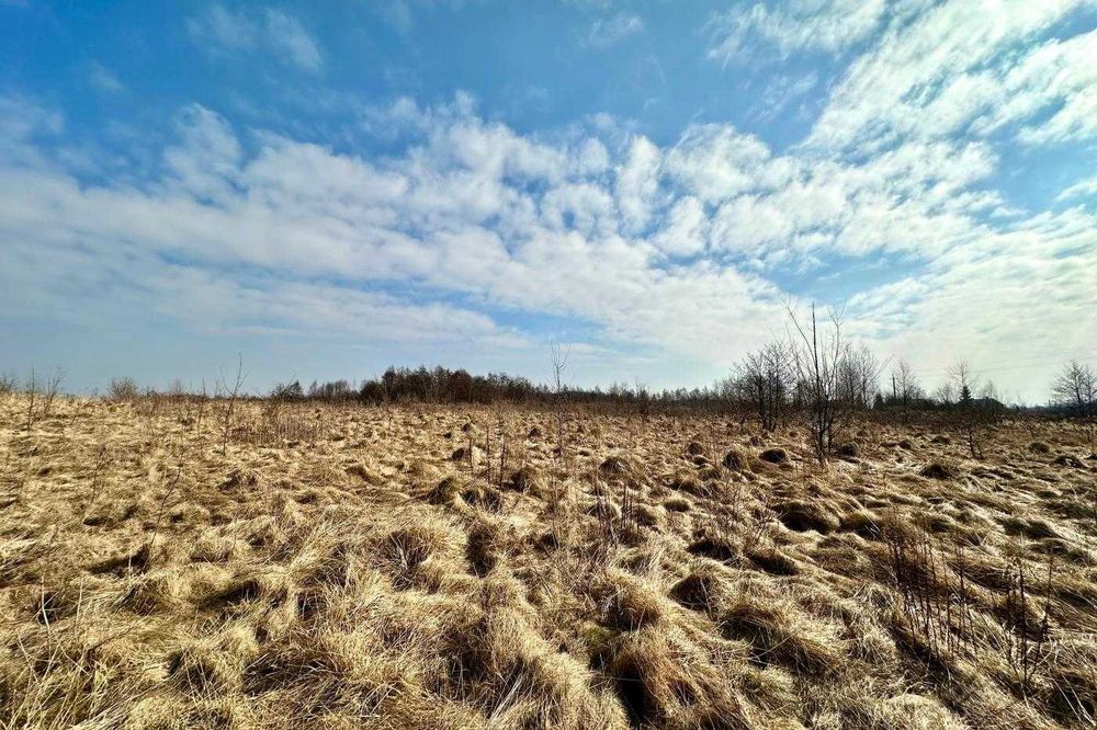 Продаж / Земля сільгосппризначення / Солонка