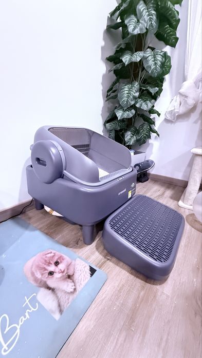 WC Automatico Gatos