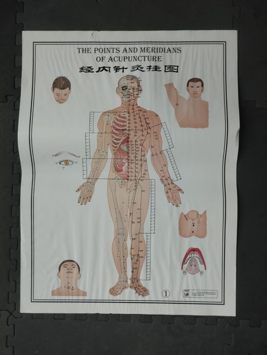 Posters meridianos medicina chinesa