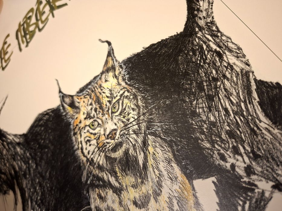 Poster Lince Ibérico