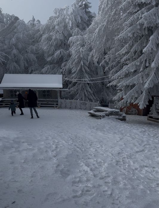 Джип Тур Микуличин