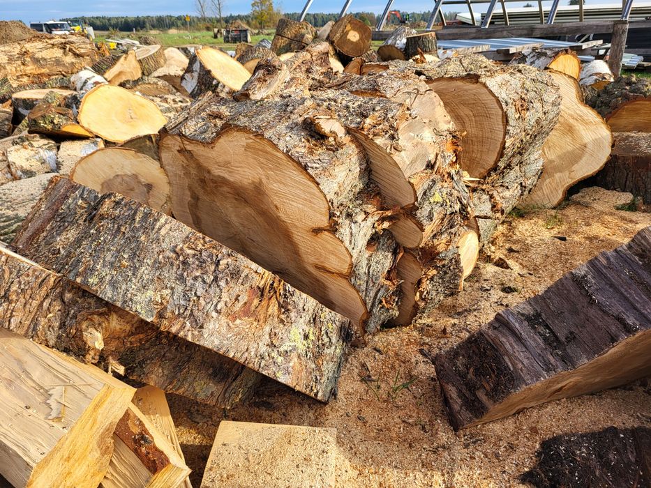 Plastry, jesion, wiąz, grubość 10-20cm