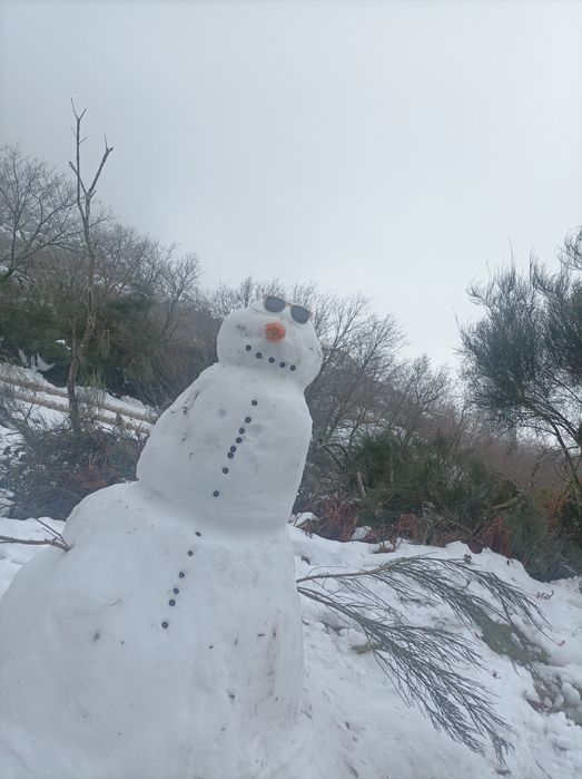 Máquina Pneumática Remover Pregos