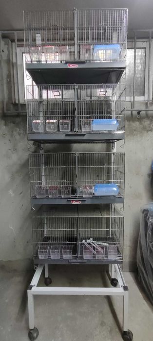 Gaiolas / Viveiros e acessórios