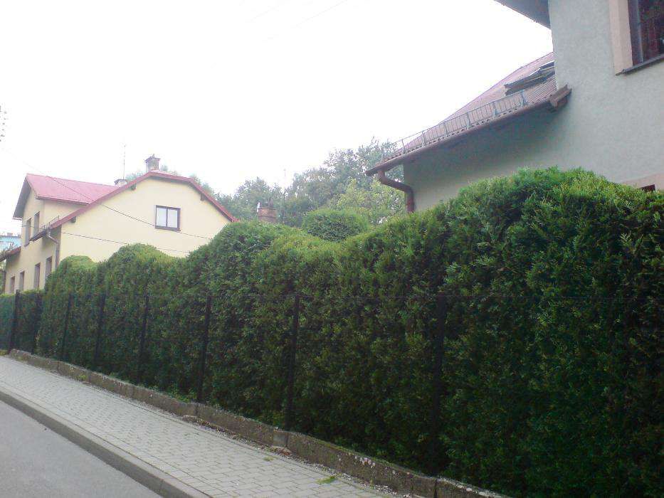 Wykaszanie nieużytków,koszenie trawy,karczowanie,Wisła,Ustroń,Brenna