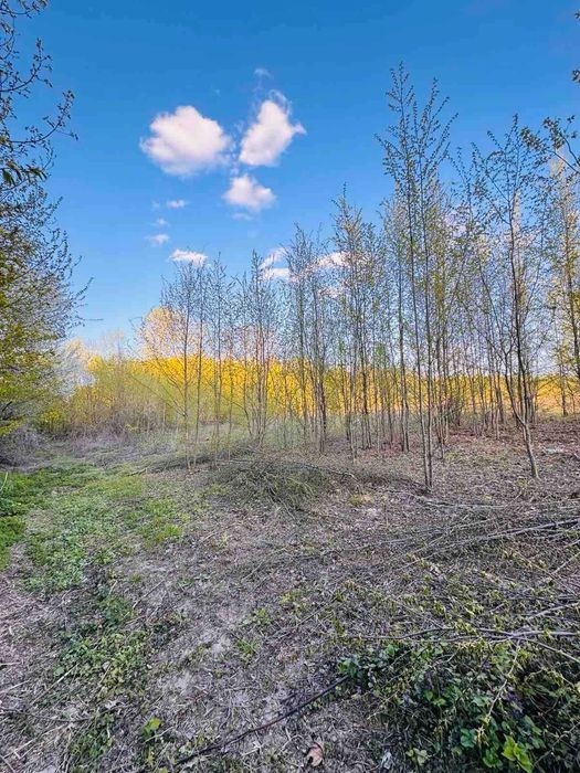 Продаж земельної ділянки в с. Якушинці