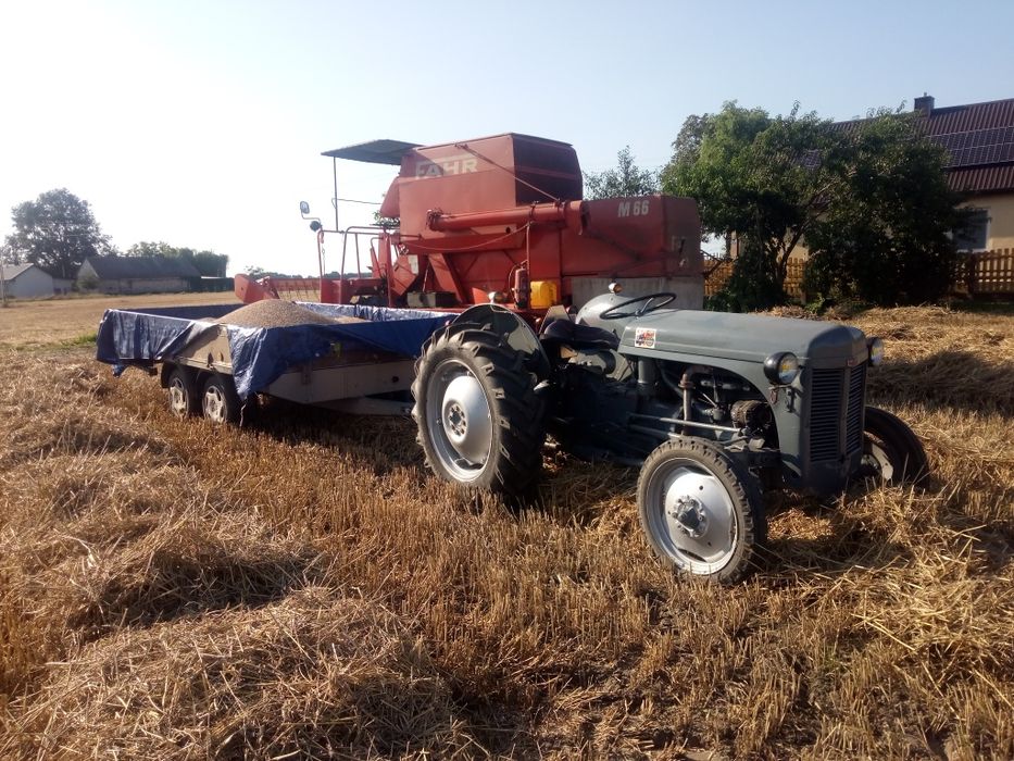 Ferguson tea 20 zarejestrowany. Sprzedam. Poddębice • OLX.pl