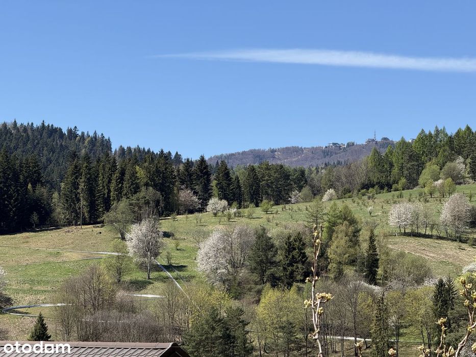 Krynica-Zdrój | najem krótkoterminowy| widok na Jaworzynę