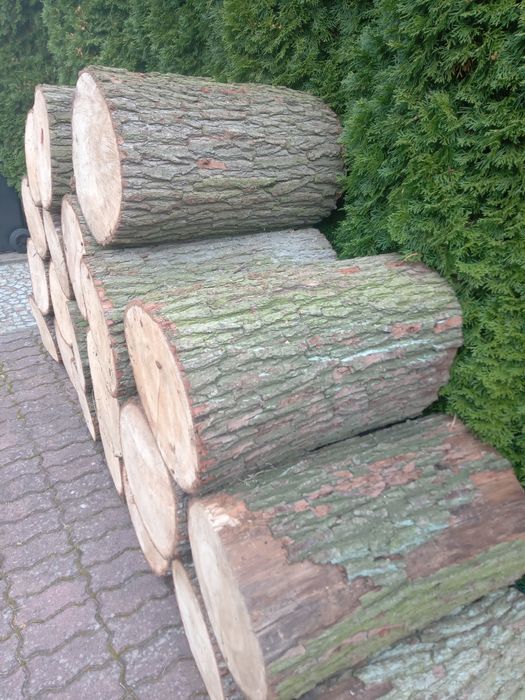 Pieńki,plastry.,dębowe - sezonowane