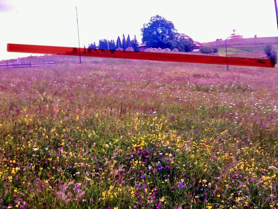 Земельна ділянка. КАРПАТИ