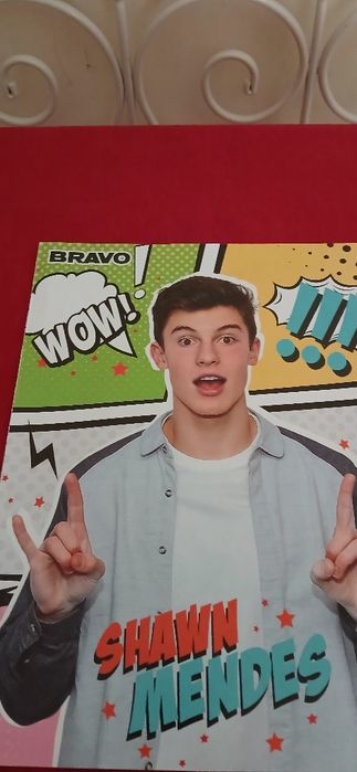 Poster Shawn Mendes, novo