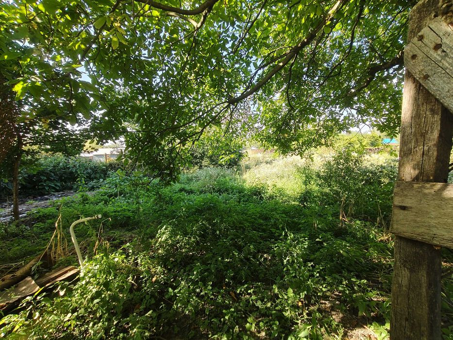 Будинок на просторій земельній ділянці між Базарчиком та Сушильним