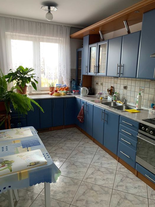 Bielany ul.Kochanowskiego z balkonem - Widok 2
