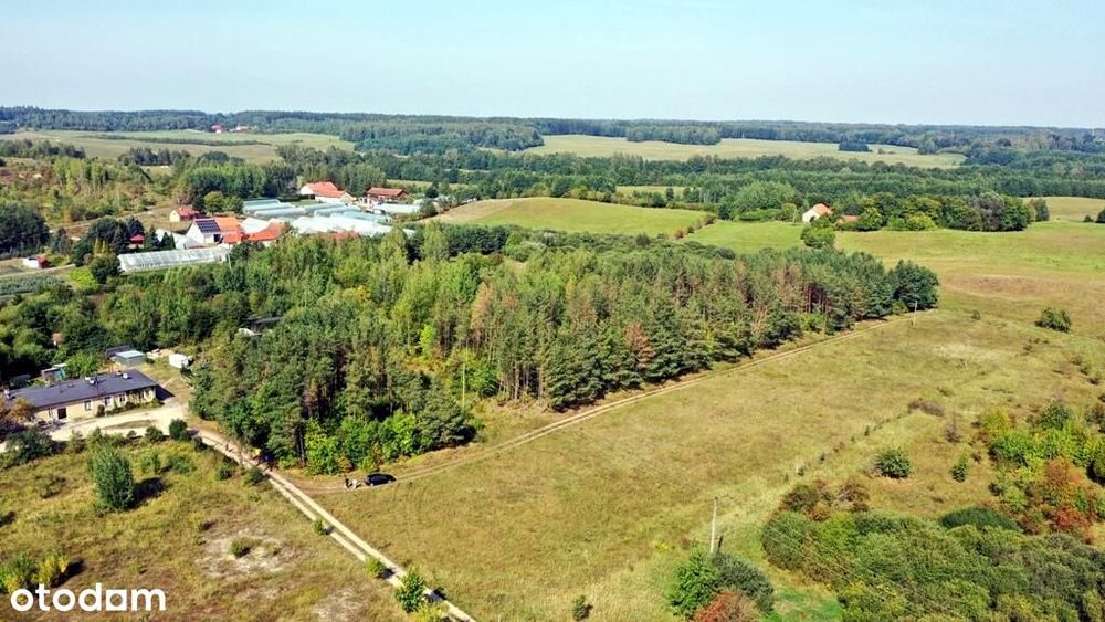 Działka bud Ogonki gm Węgorzewo - Widok 2