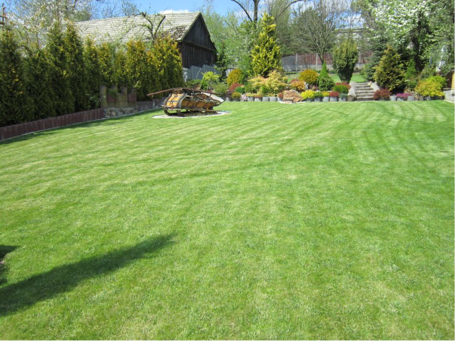 Ziemia ogrodowa po pieczarkowa