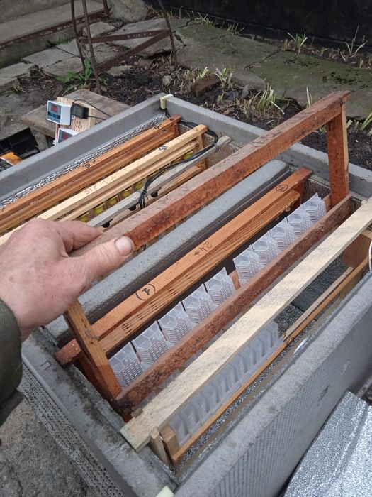 Інкубатор для виводу бджоломаток