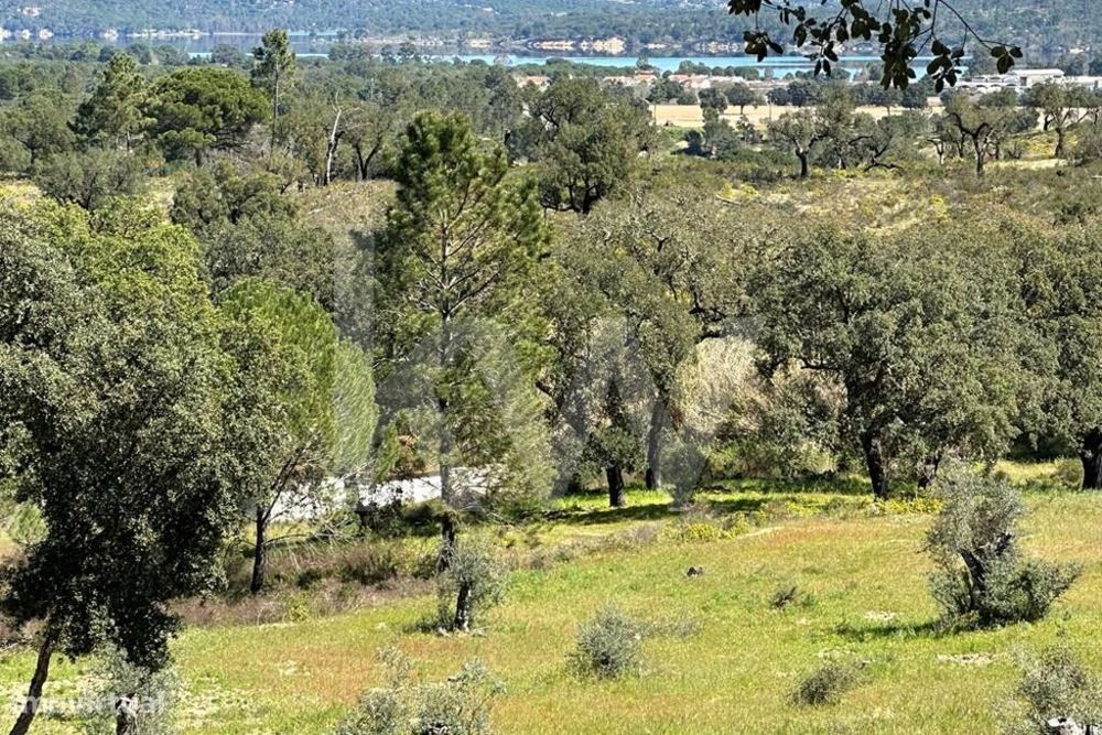 Terreno 5,1ha Montargil — Montargil, Portalegre