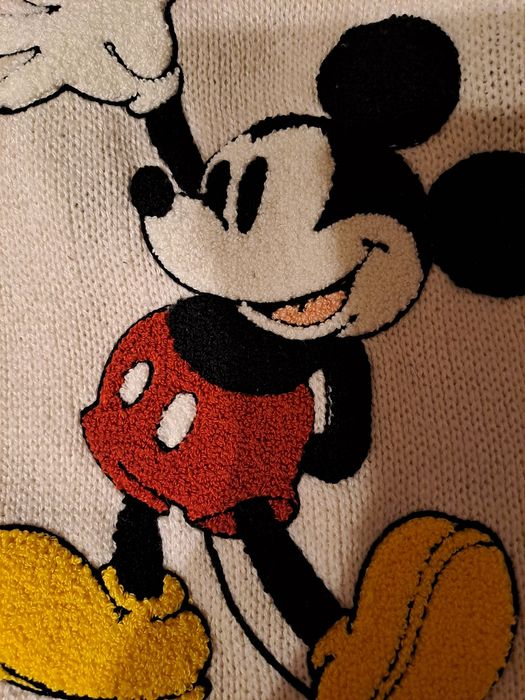 Super ubranko dla psa firmy Disney H&M