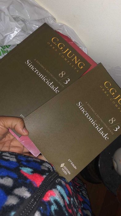 Sincronicidade de Carl Jung