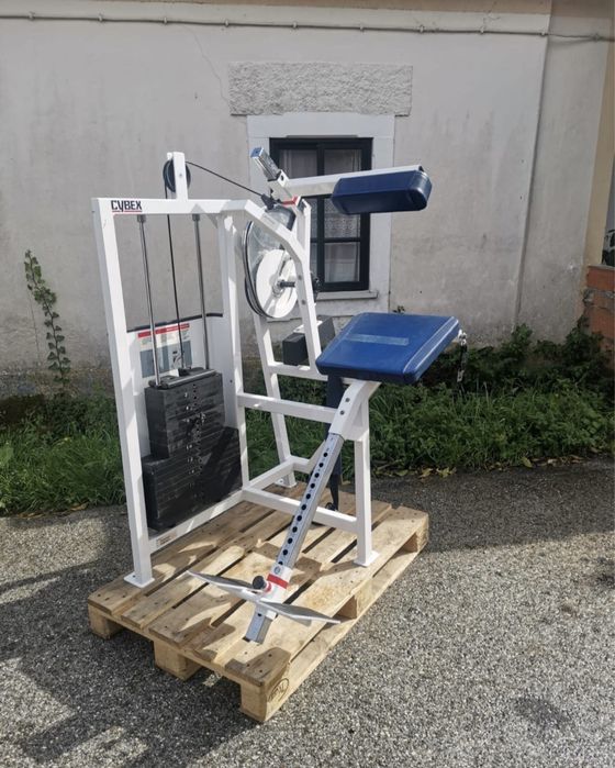 Cybex back extension64176733903747120