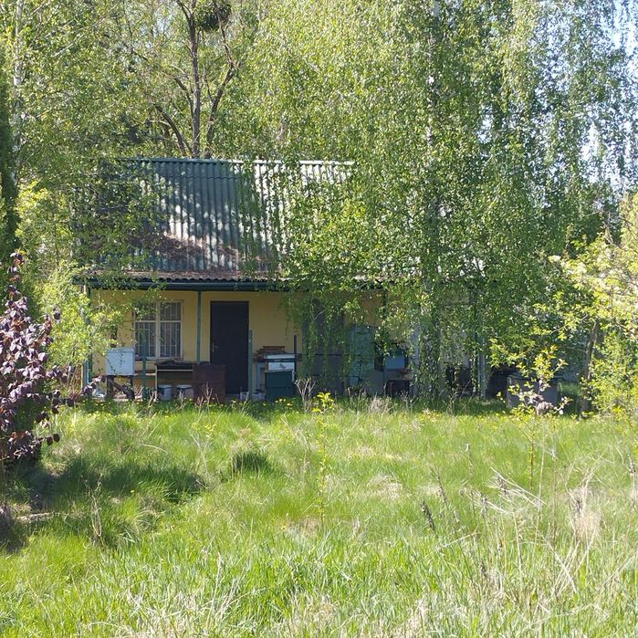 Продам будинок с. Нова Українка