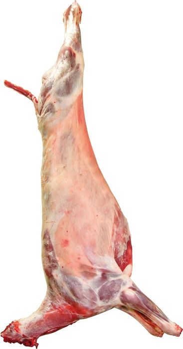 Jagnięcina, baranina