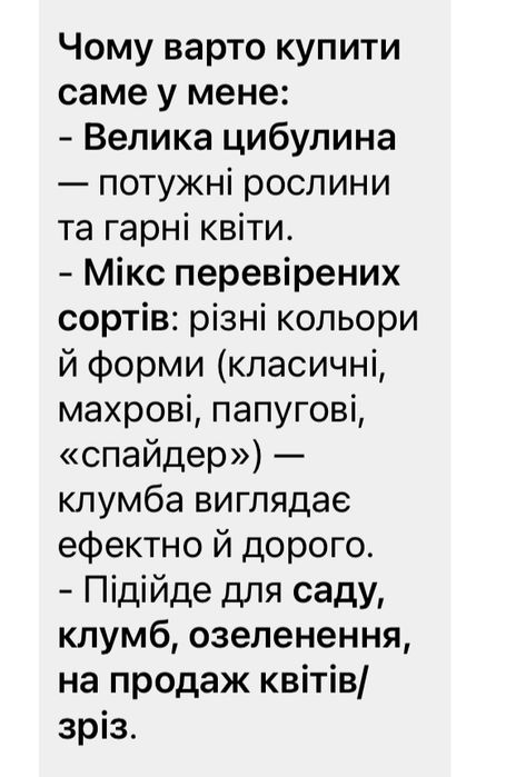 Цибулини на вигонку