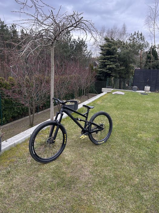 Dartmoor blackbird 2018 L jibber/slopeduro