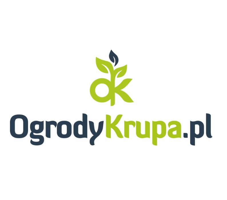 Żywotnik whipcord tuja krzewy ozdobne