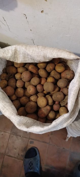 Продам корм для тварин