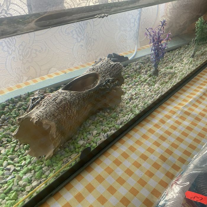 Акваріу доброму стані