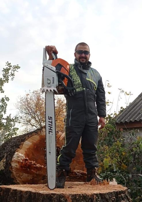 Спил аварійних дерев спиляти дерево бензопильщик вальщик