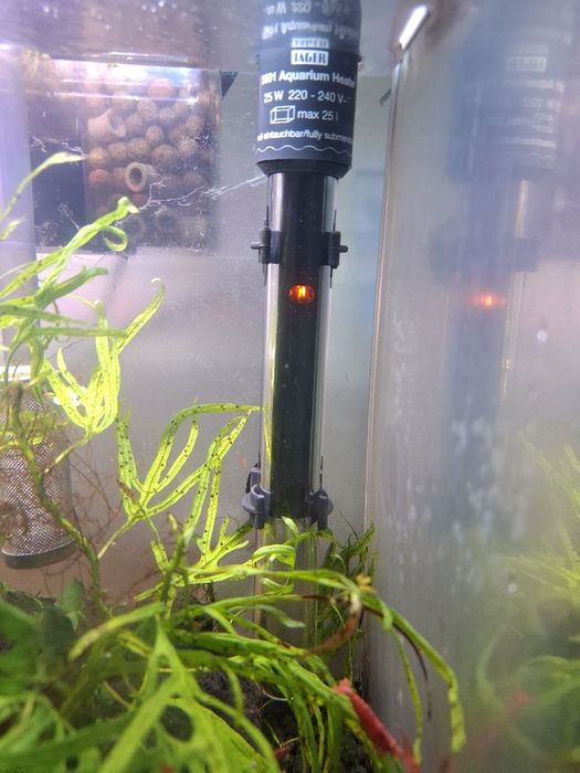 Aquário em vidro, com tampa, Fundo degrade estilo ADA + termostato Jarge 25W  (EHEIM)