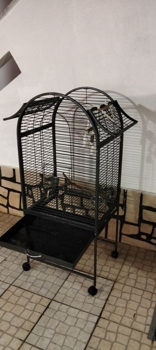 Vendo gaiola XXL para papagaios