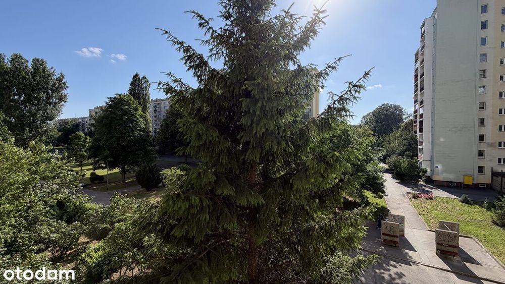 Słoneczne 2 pokoje 42 m² po remoncie – balkon, winda, blisko metra - Widok 4