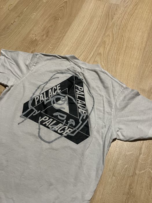 Palace x arcteryx футболка