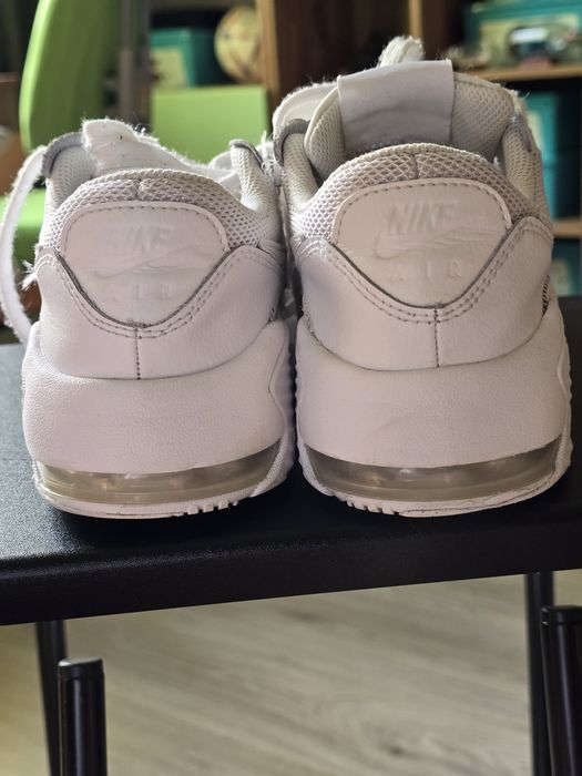кросівки Nike Air Max Excee