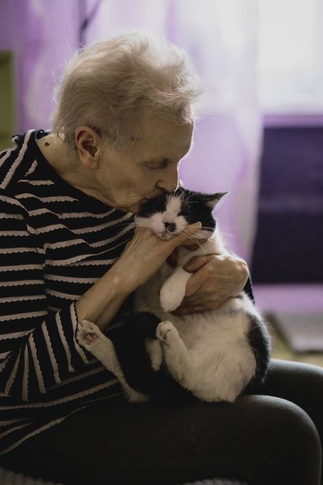 Ok. 4 letnia oaza spokoju - kotka Mania pilnie szuka kochającego domu!