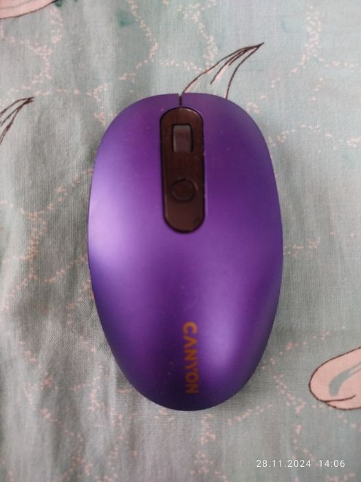 Мышь компьютерная