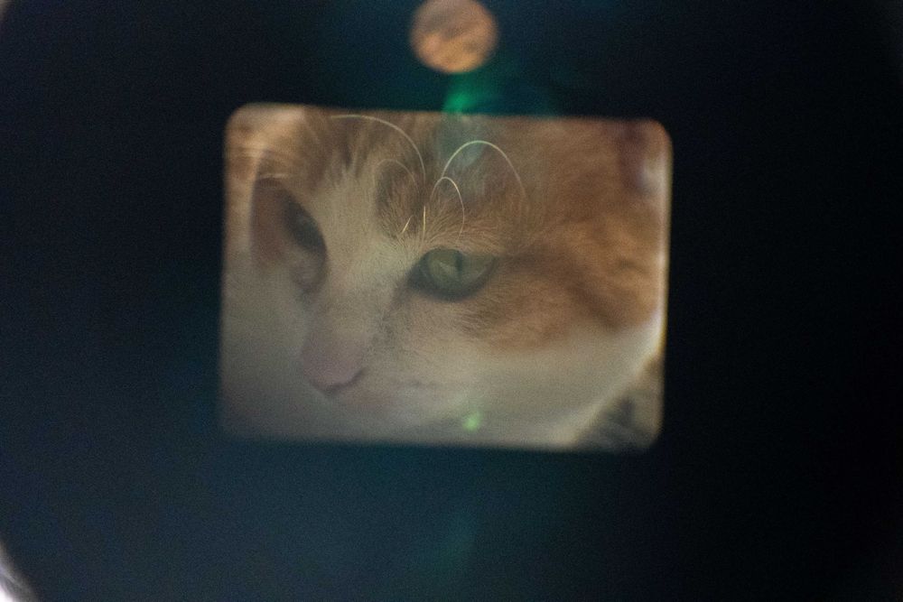 chinon 207 cl super 8