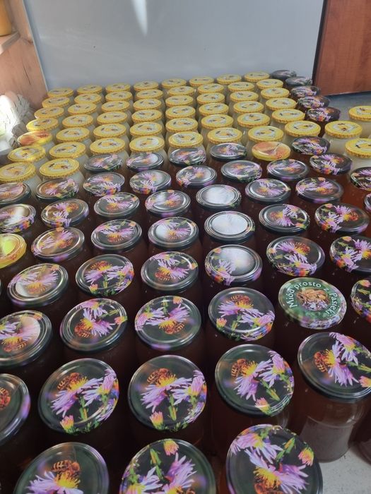 Miód rzepakowy oraz lesny