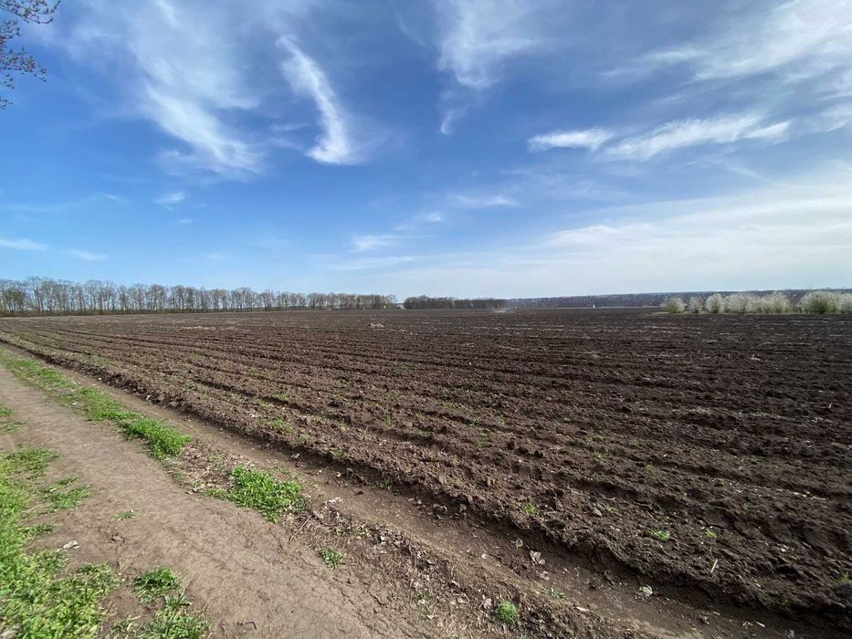 Продається земельна ділянка р-н Тяжилів