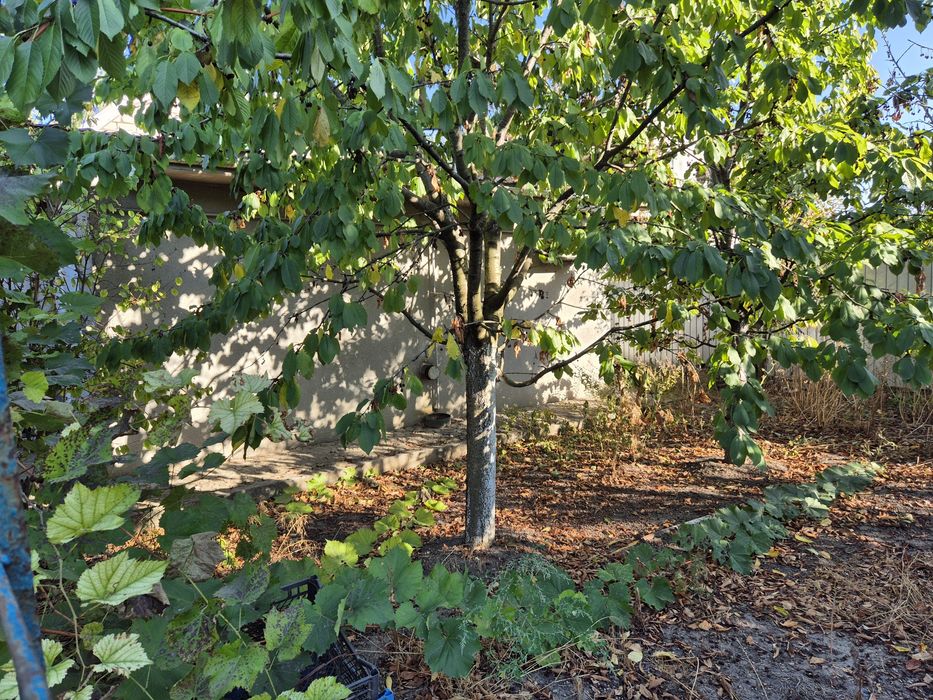 House by the address st. Primorskaya (area 70 m²) - Atlanta.ua - photo 11