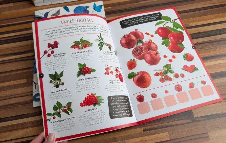 Zestaw młodzi przyrodnicy kolorowa przyroda żółta niebieska czerwona