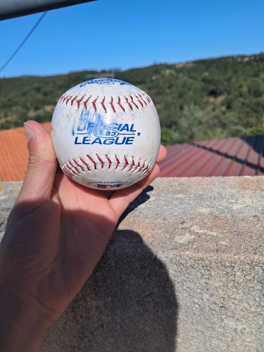 Bola de Beisebol